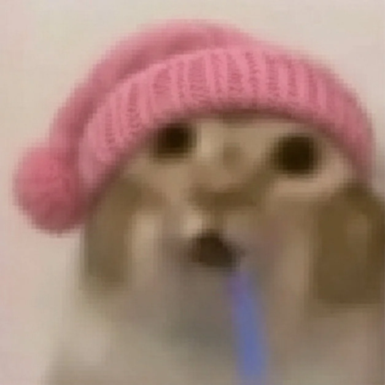 Drooling cat
